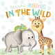 Brilliant Baby Series